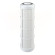 RA5018114 Картридж с полиэстерной сеткой (промывной) RL C 10″ SX 50 mcr 45°C ATLAS FILTRI