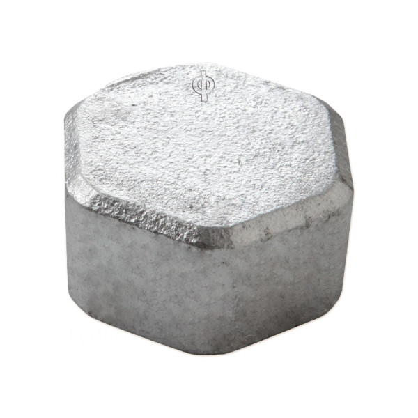 30025005 Заглушка оцинкованная (белый чугун) Ø1″ В Berg Montana