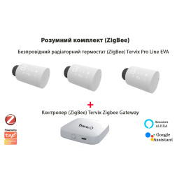 Комплект Tervix Pro Line EVA2 (3 шт.) + контроллер Tervix ZigBee Gateway