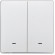 Умный клавишный выключатель Tervix Pro Line ZigBee Push Switch (2 клавиши), без нуля